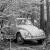 VW Beetle